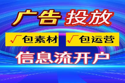 某电商平台的SEM推广实践与效果展示